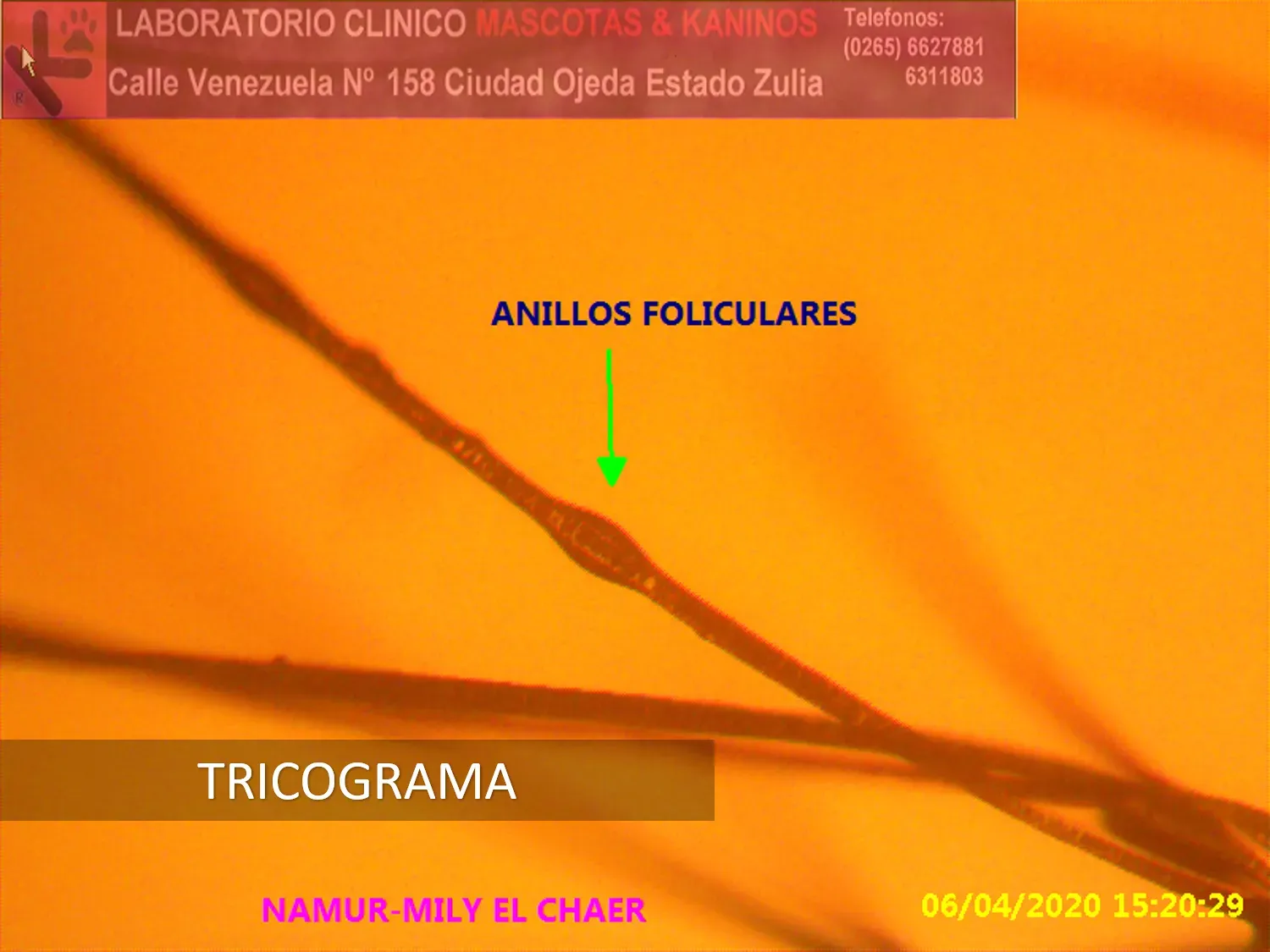 Dermatología